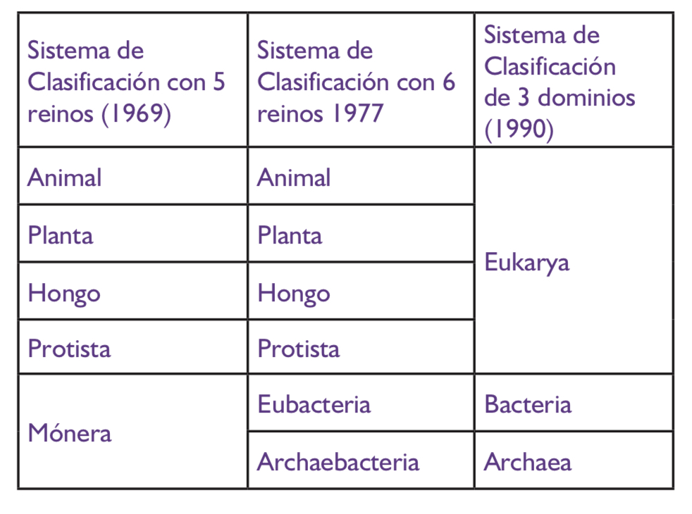 Tabla